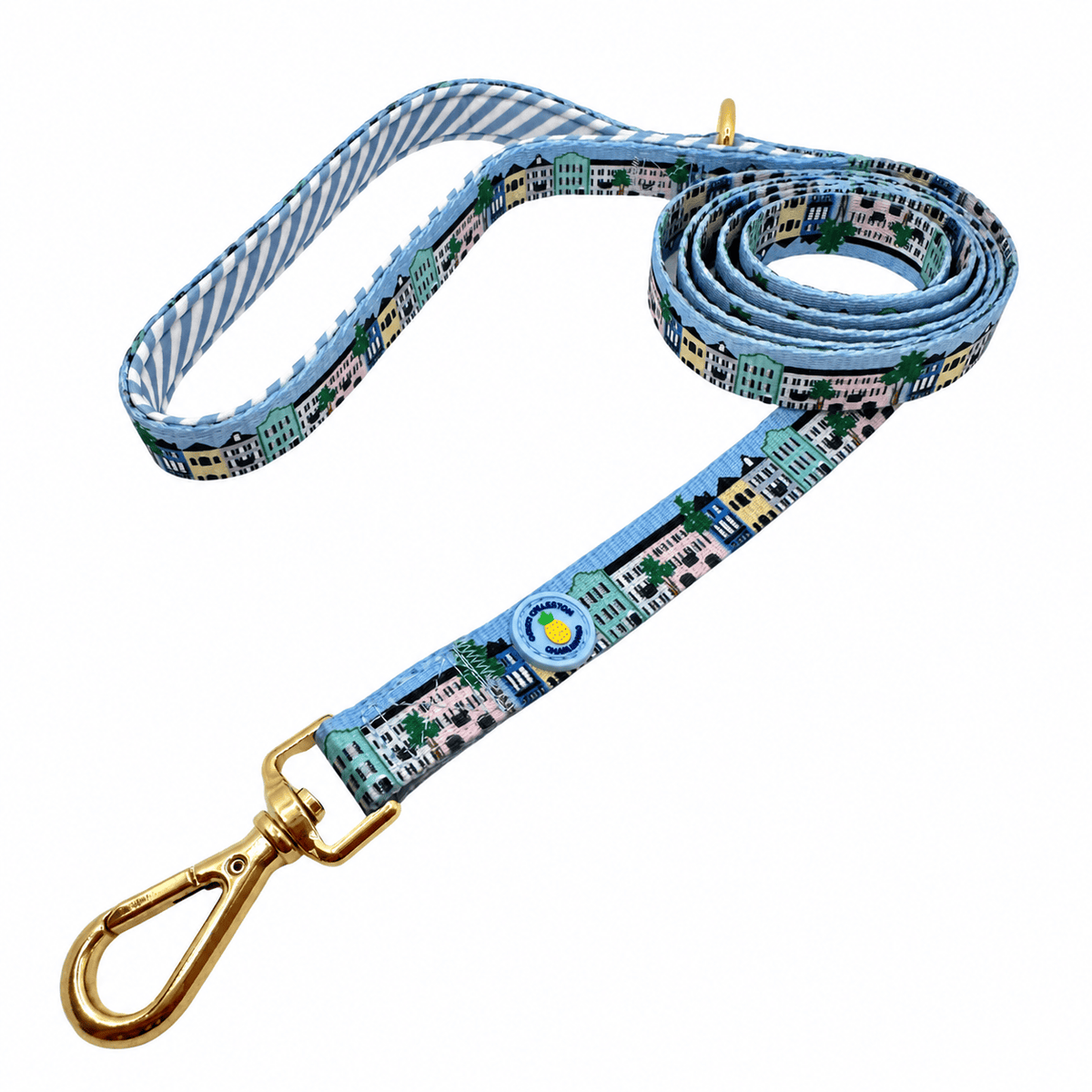 Covey Collection Gold / Blue and White / Medium Rainbow Row Leash Leash RainbowRowLeash-Gold/Blue/White-M