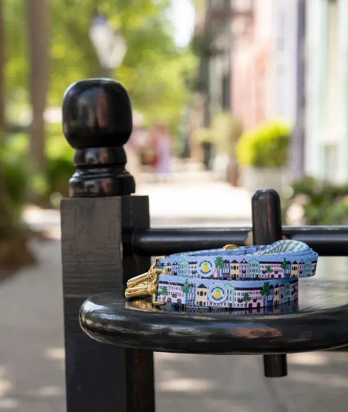 Covey Collection Rainbow Row Leash Leash
