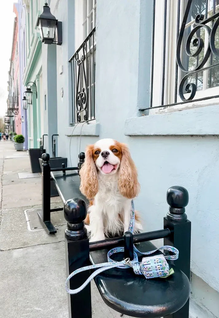Covey Collection Rainbow Row Leash Leash