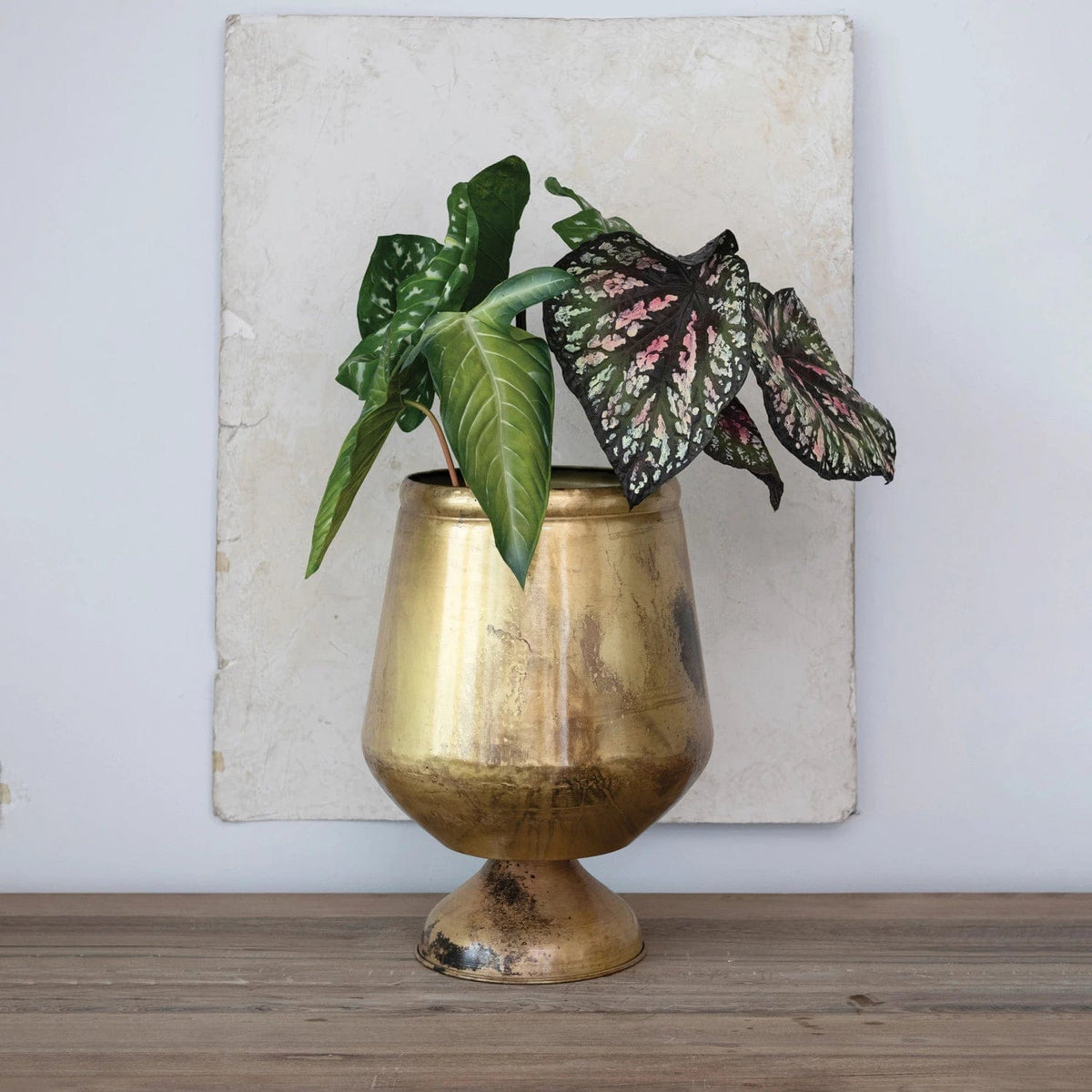 Creative Co-op Faux Elephant Ear in Black Pot Greenery DF7991