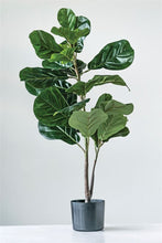 Creative Co-op Fiddle Leaf Fig Plant DF0911