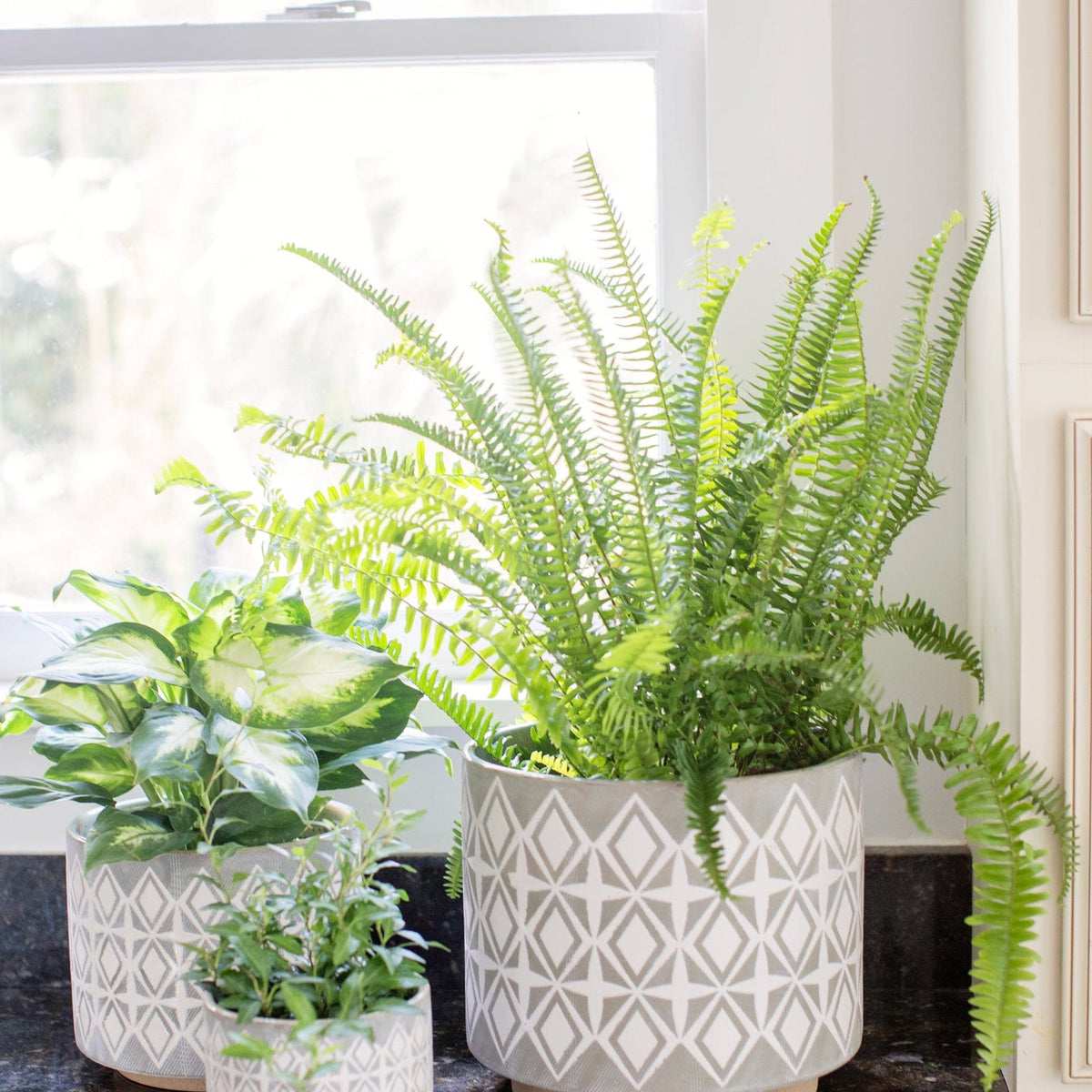 Creative Co-op Grey Patterned Stoneware Planter Pots & Planters