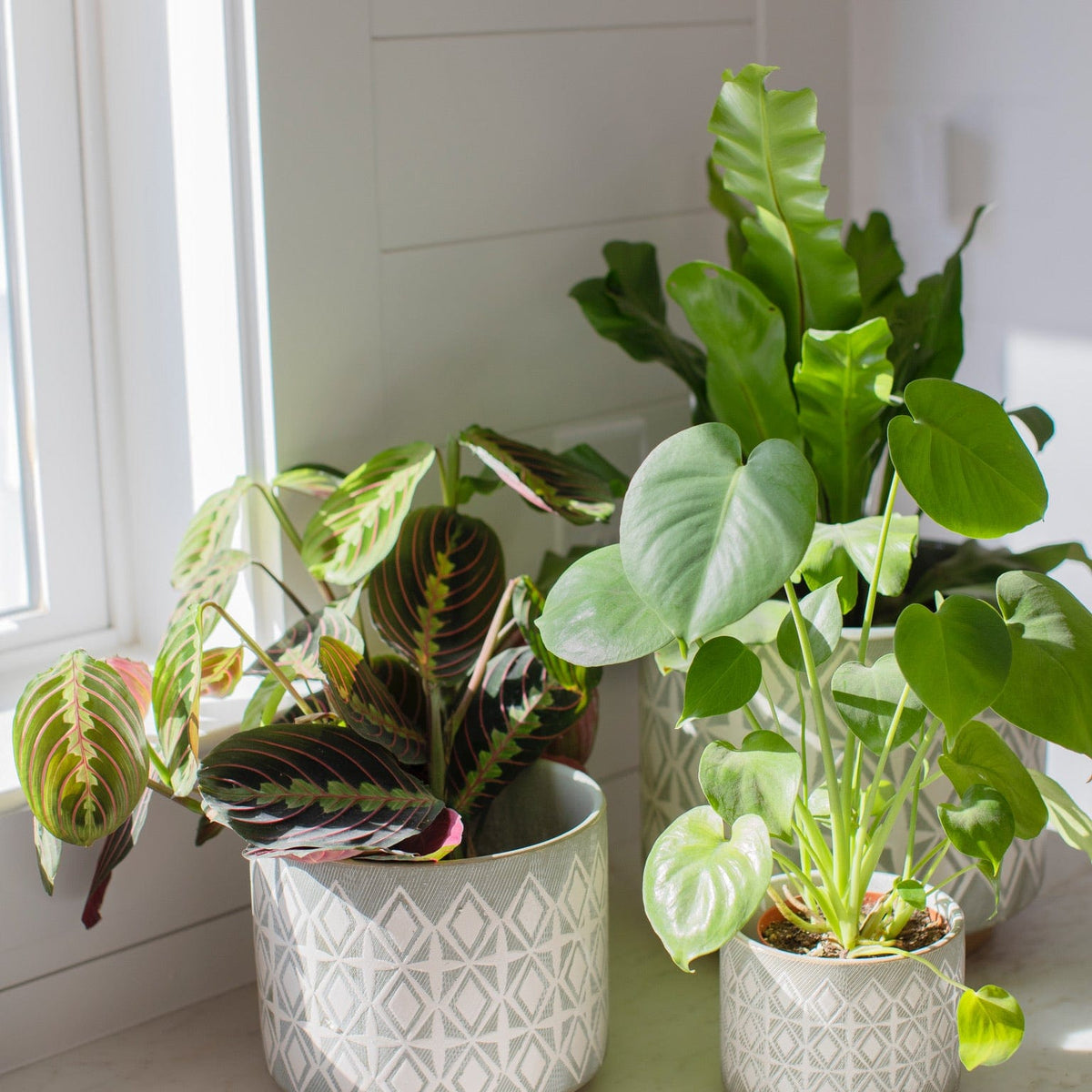 Creative Co-op Grey Patterned Stoneware Planter Pots & Planters