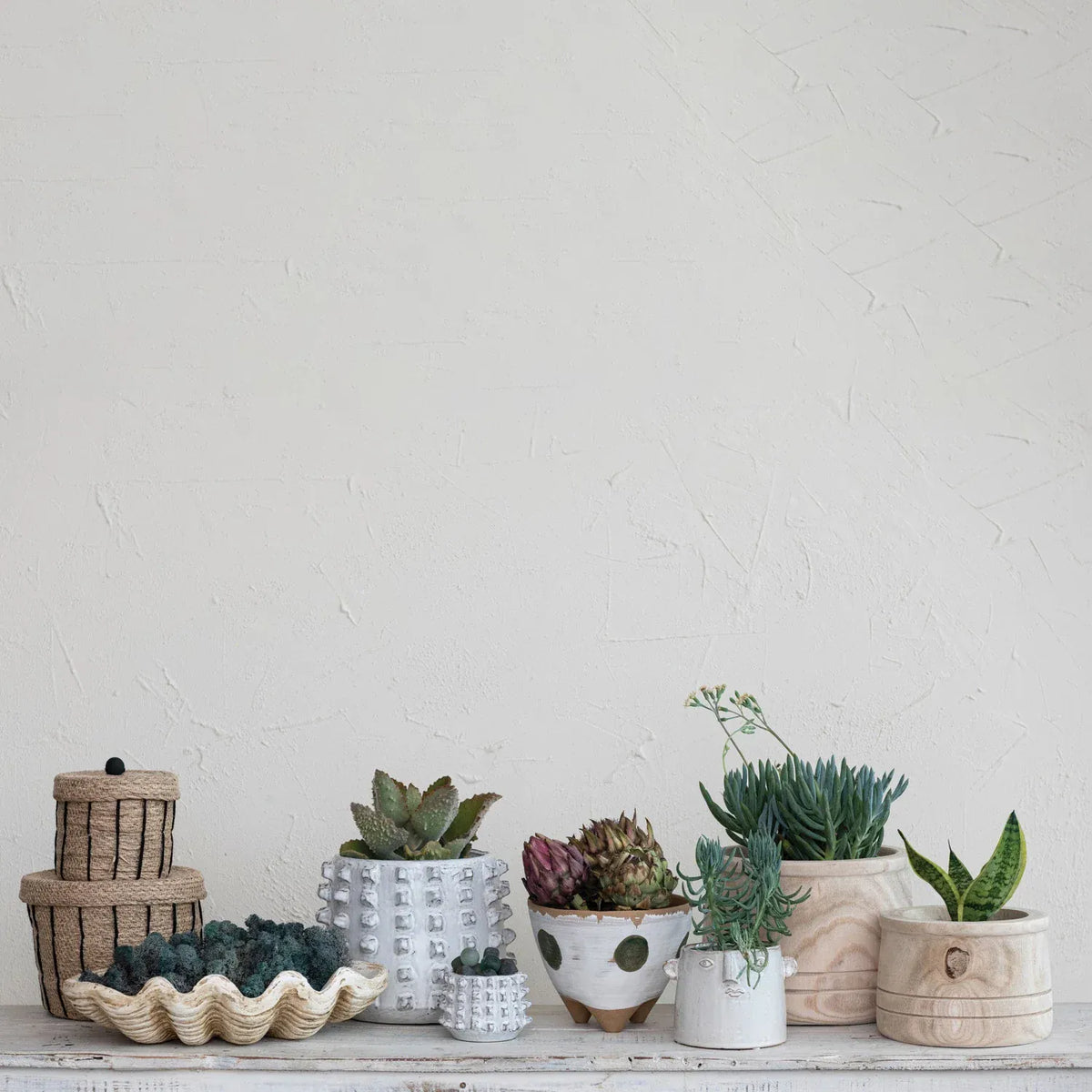 Creative Co-op Magnesia Clamshell Sculptures