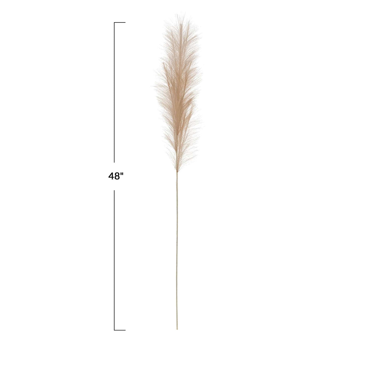 Creative Co-op Natural Faux Pampas Grass Plume Faux Plants df4732