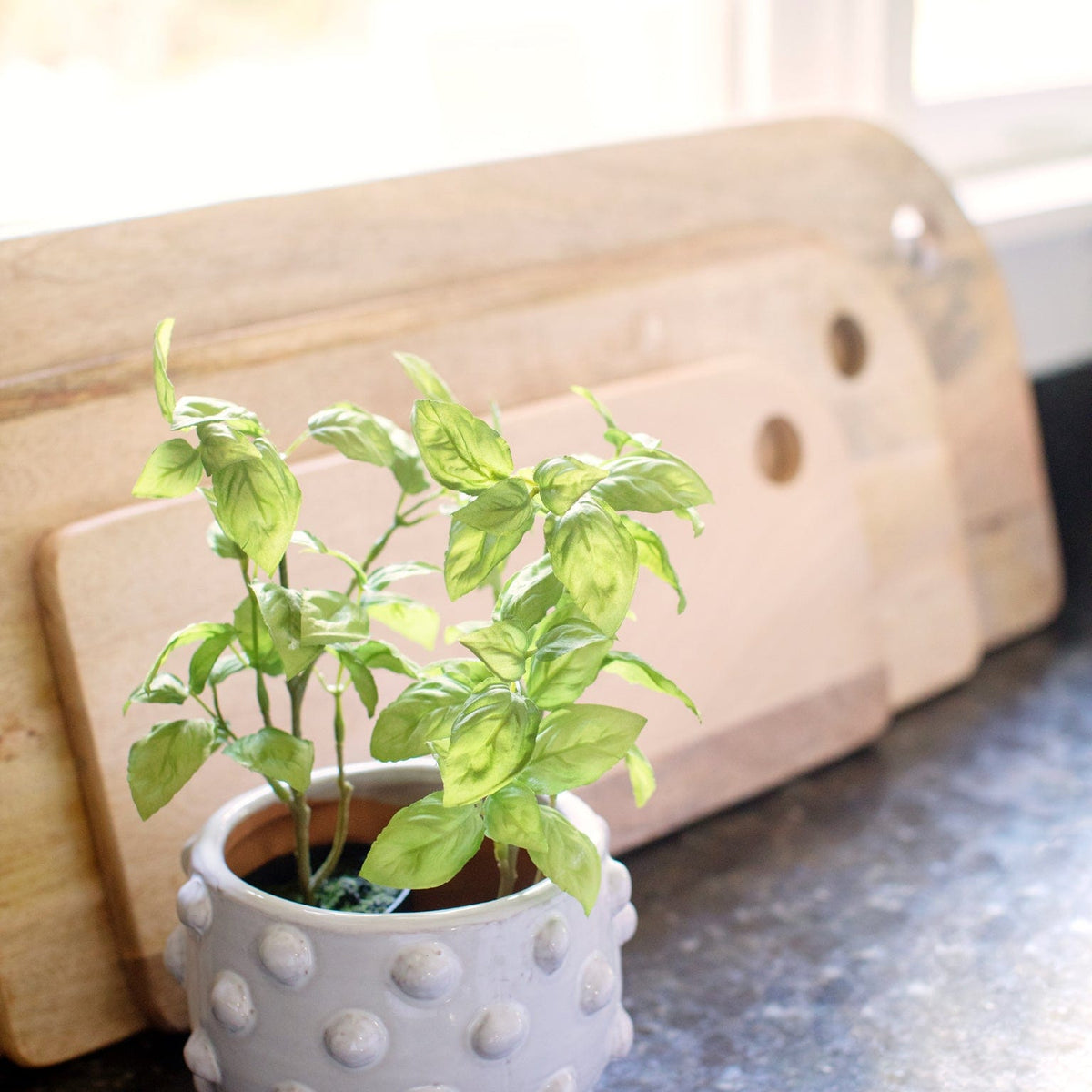 Creative Co-op Terra Cotta White Dots Planter, Medium Pots & Planters (DA9388) 98316.00