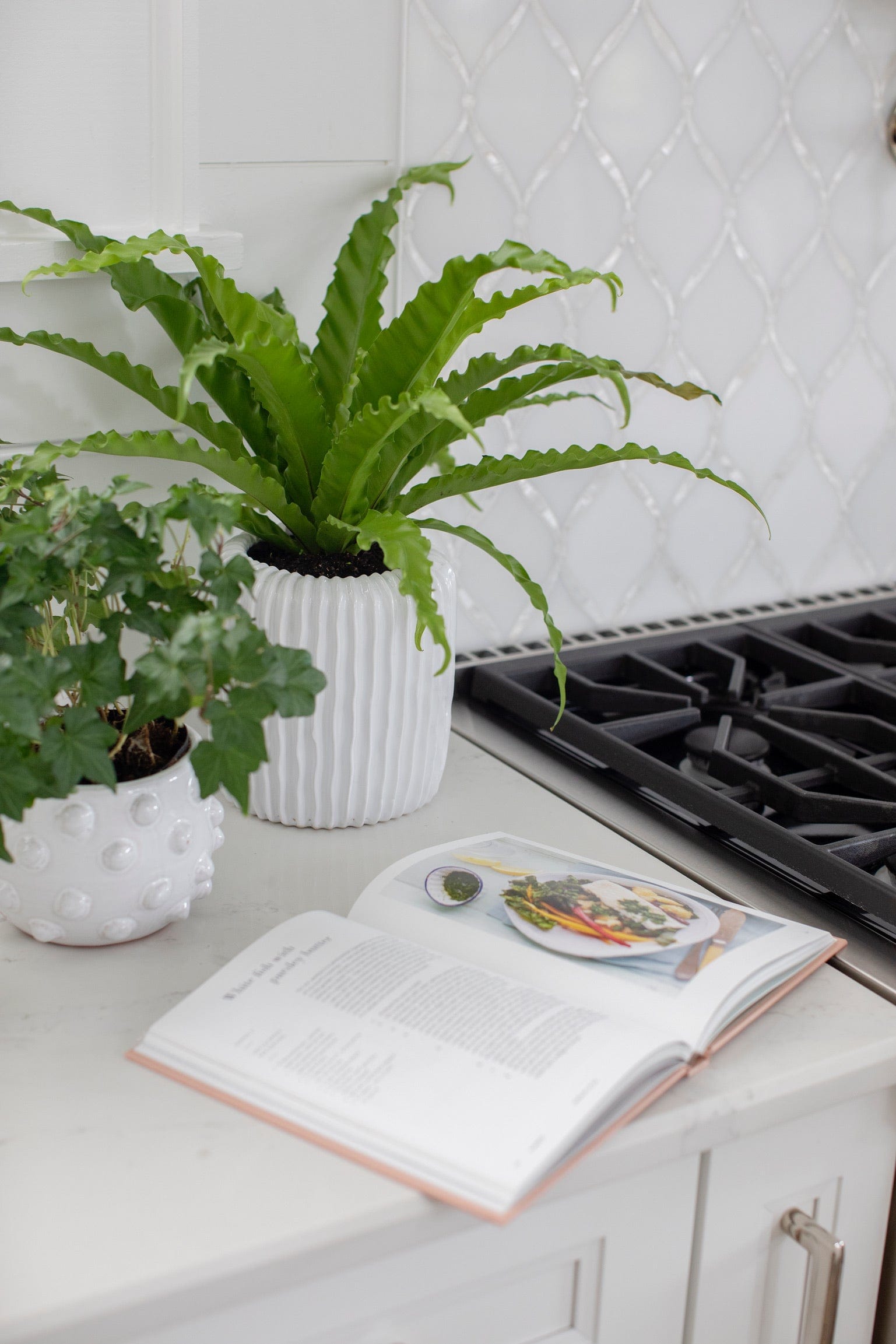 Terra Cotta White Dots Planter, Medium – Megan Molten