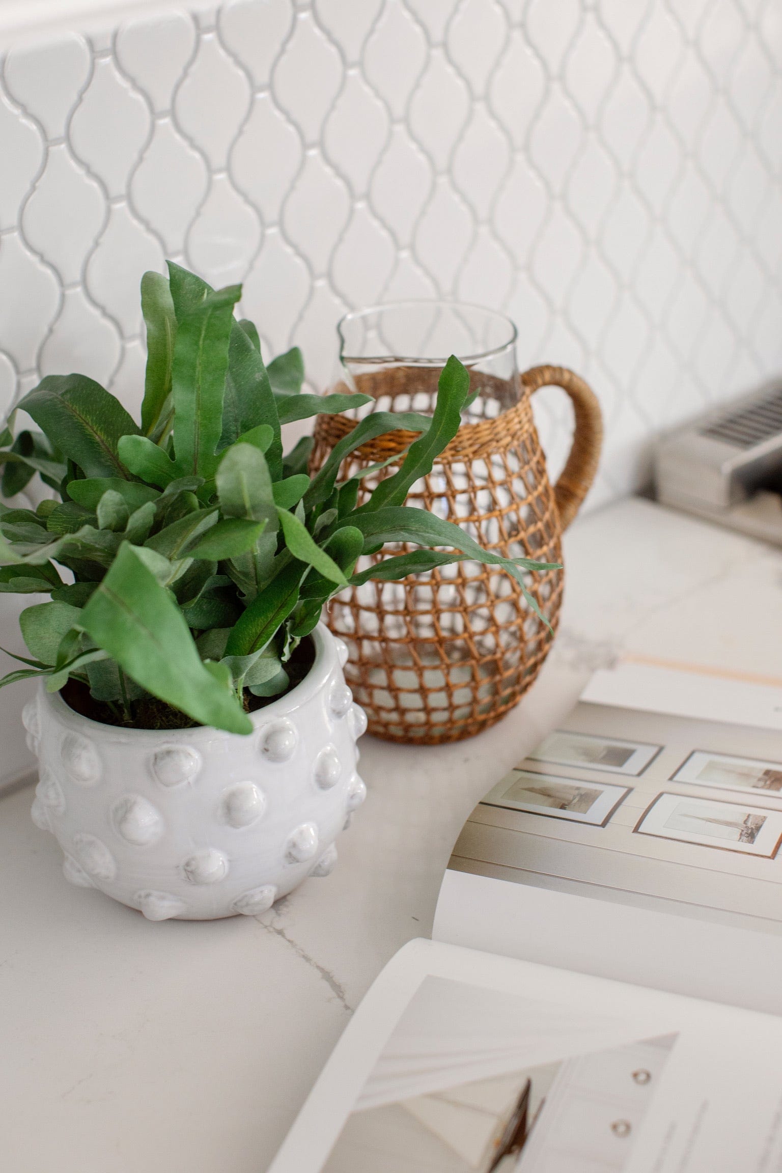 Terra Cotta White Dots Planter, Medium – Megan Molten
