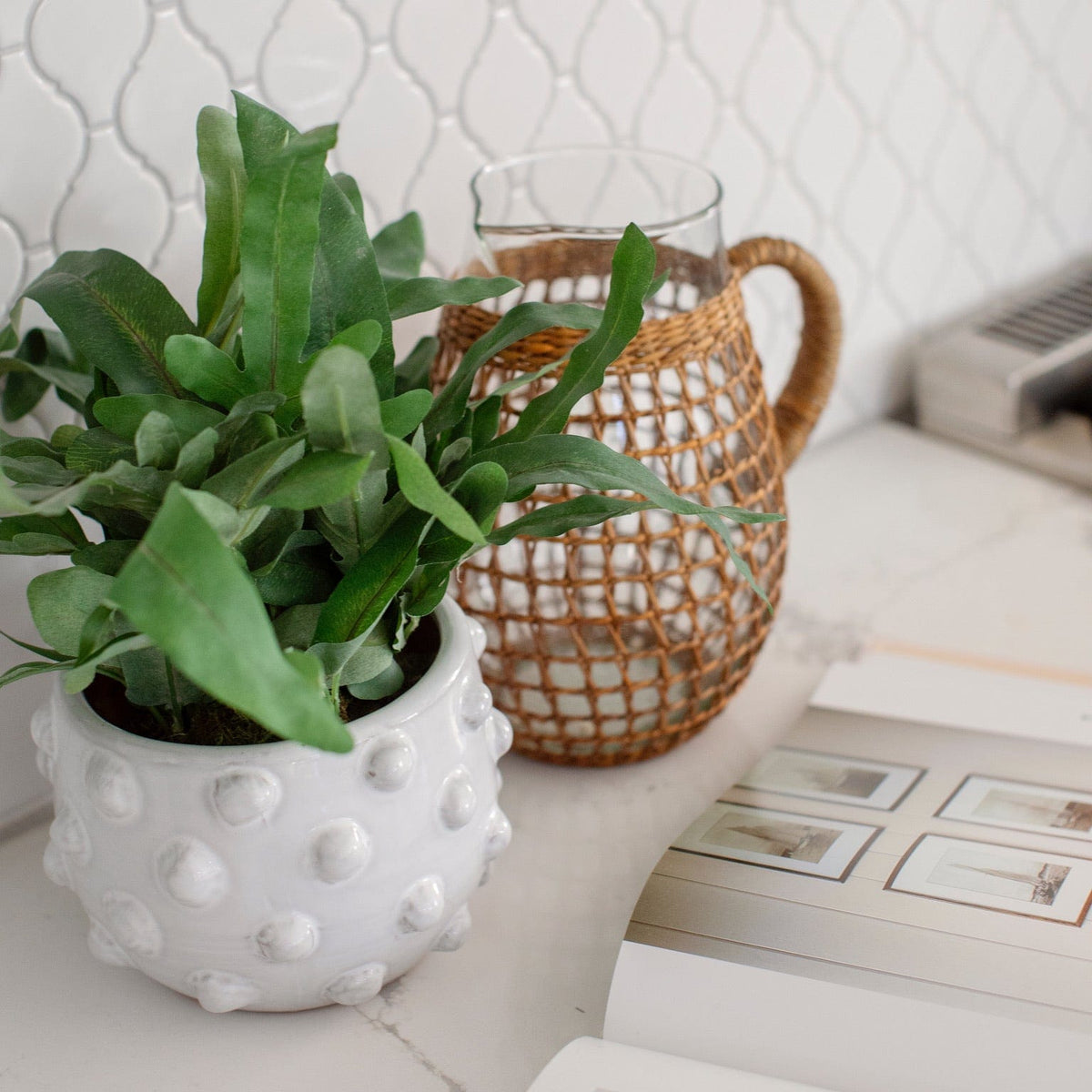 medium plant pots Terra Cotta White Dots Planter, Medium – Megan Molten