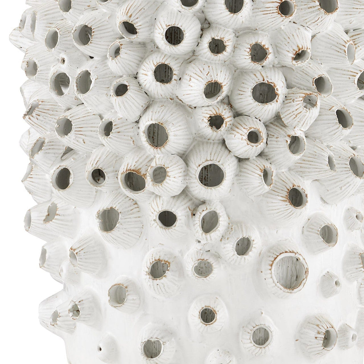 Currey & Company Barnacle Table Accent Tables 2000-0033