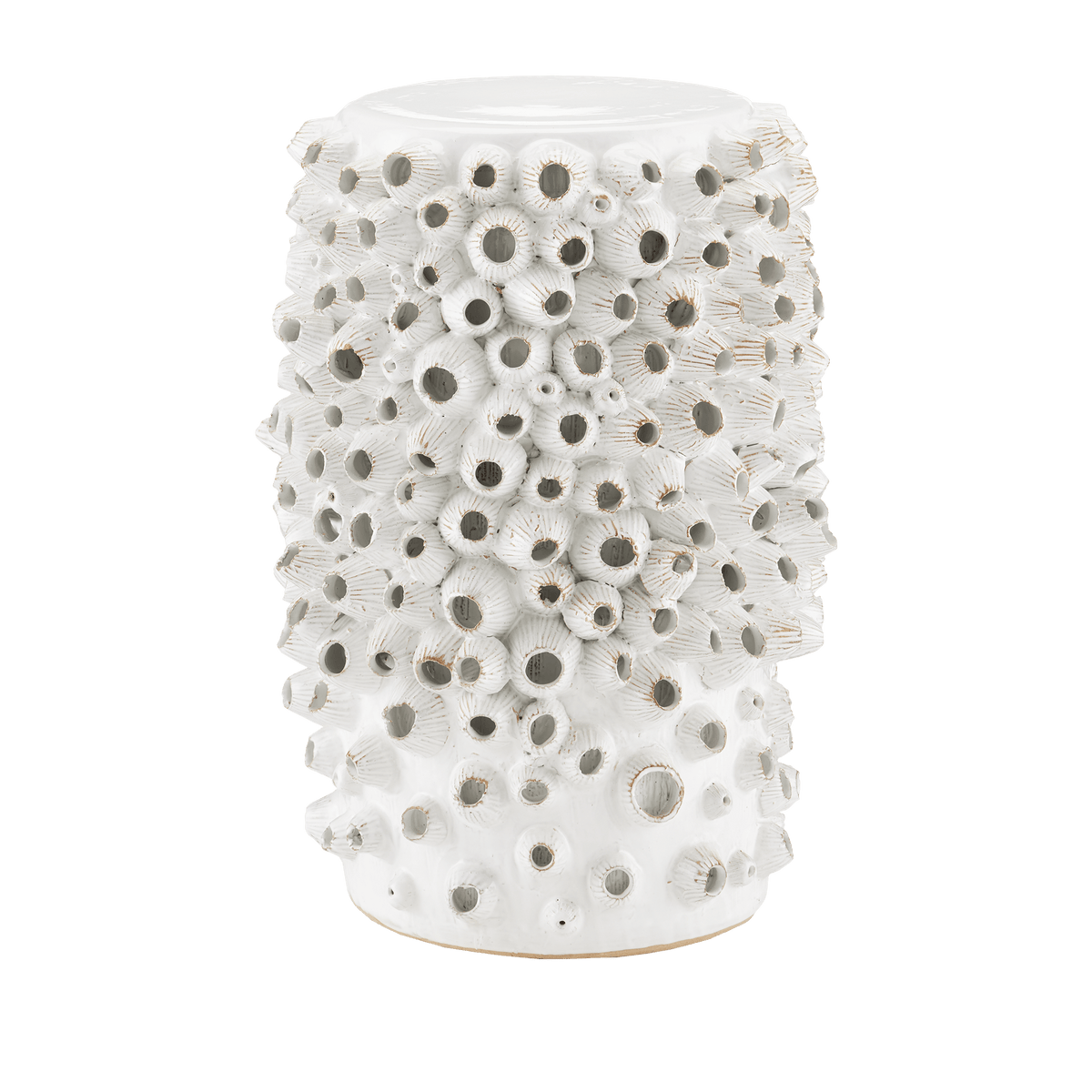 Currey & Company Barnacle Table Accent Tables 2000-0033