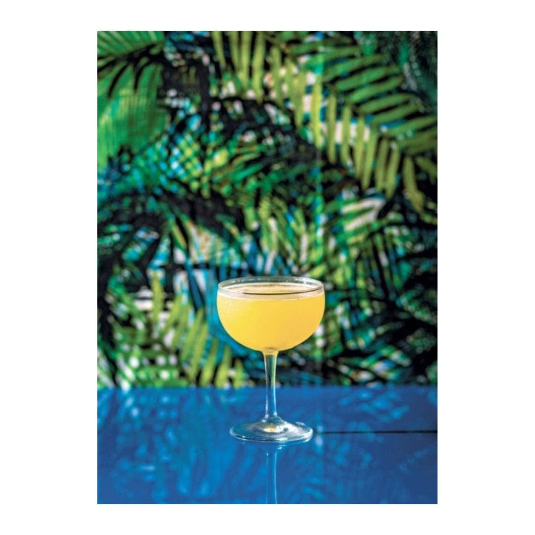 Darrah & Co Tiki: Modern Tropical Cocktails Books 0789335549