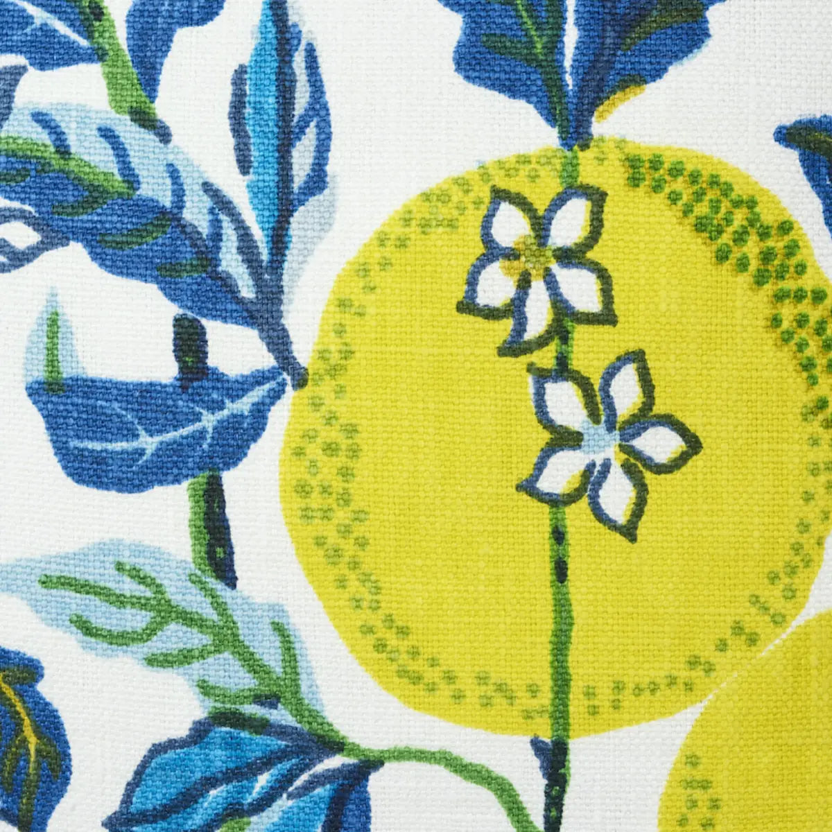 Dekowe 20 x 20 Citrus Garden Pillow Throw Pillows