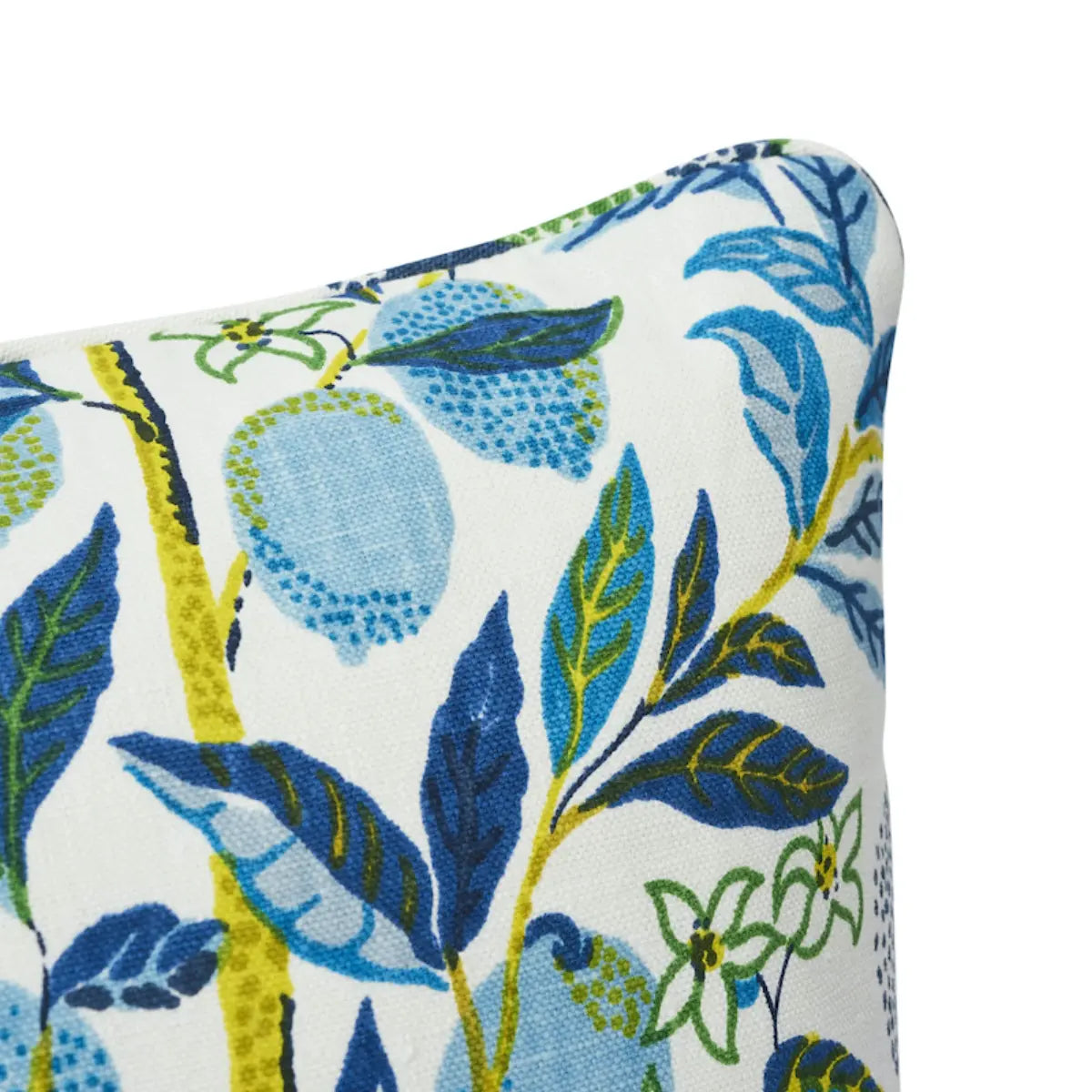 Dekowe 20 x 20 Citrus Garden Pillow Throw Pillows
