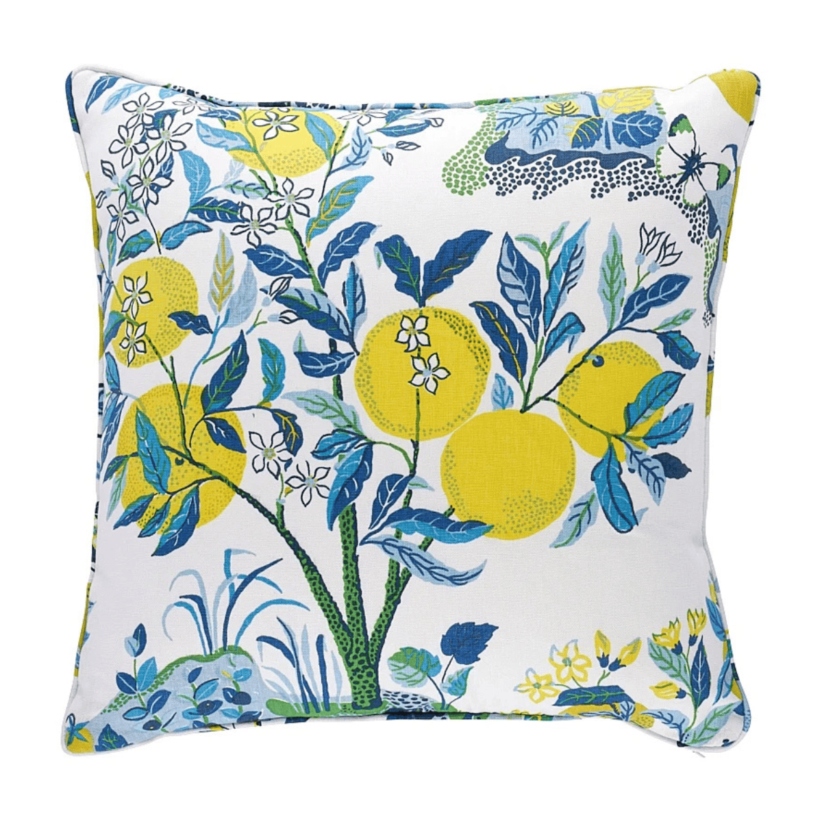 Dekowe 20 x 20 Citrus Garden Pillow Throw Pillows