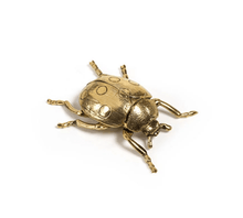 Zodax Decor Gold Ladybug