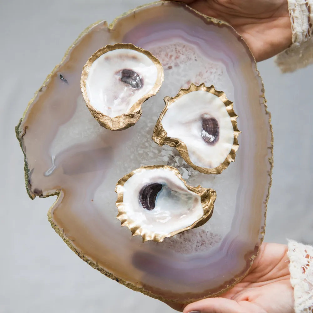Grit and Grace Oyster Jewelry Dish Jewelry Dish