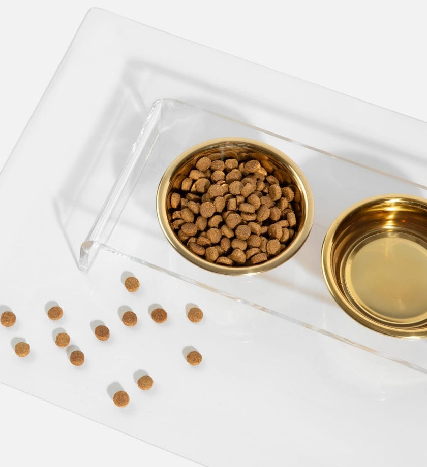 Dog Feeder - secondary