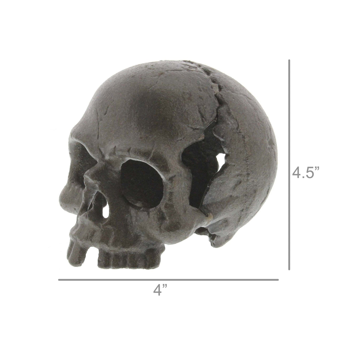 HomArt Cast Iron Jawless Skull Skulls 1796-0