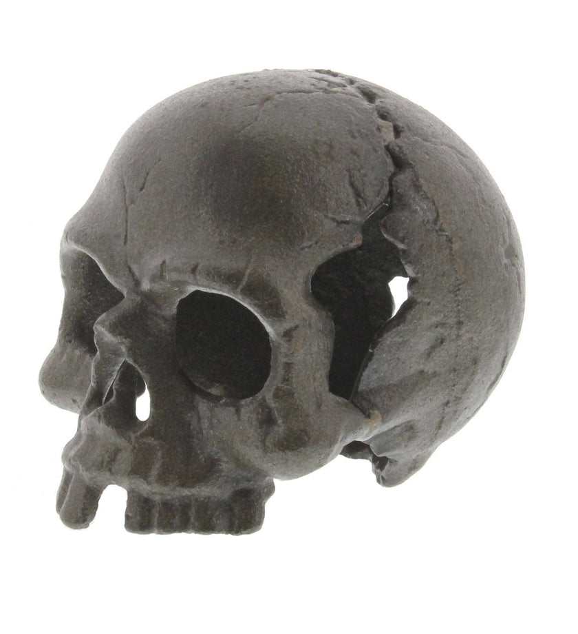 Cast Iron Jawless Skull
