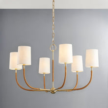 Hudson Valley Webson Chandelier Chandeliers 3534-AGB