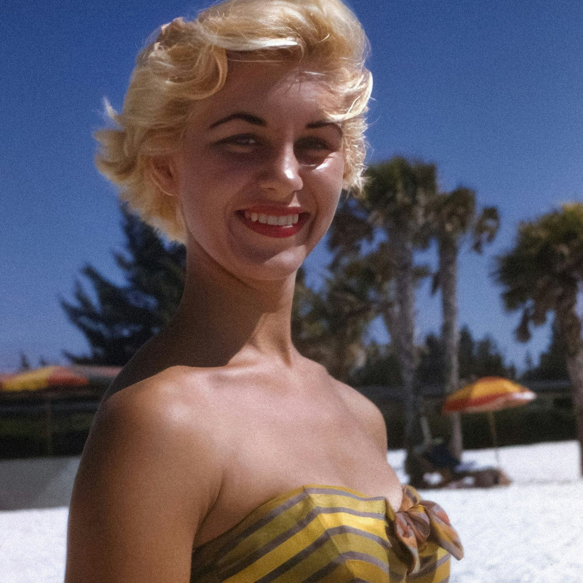 Ingram The Stylish Life: Surfing Books StylishLifeSurfing