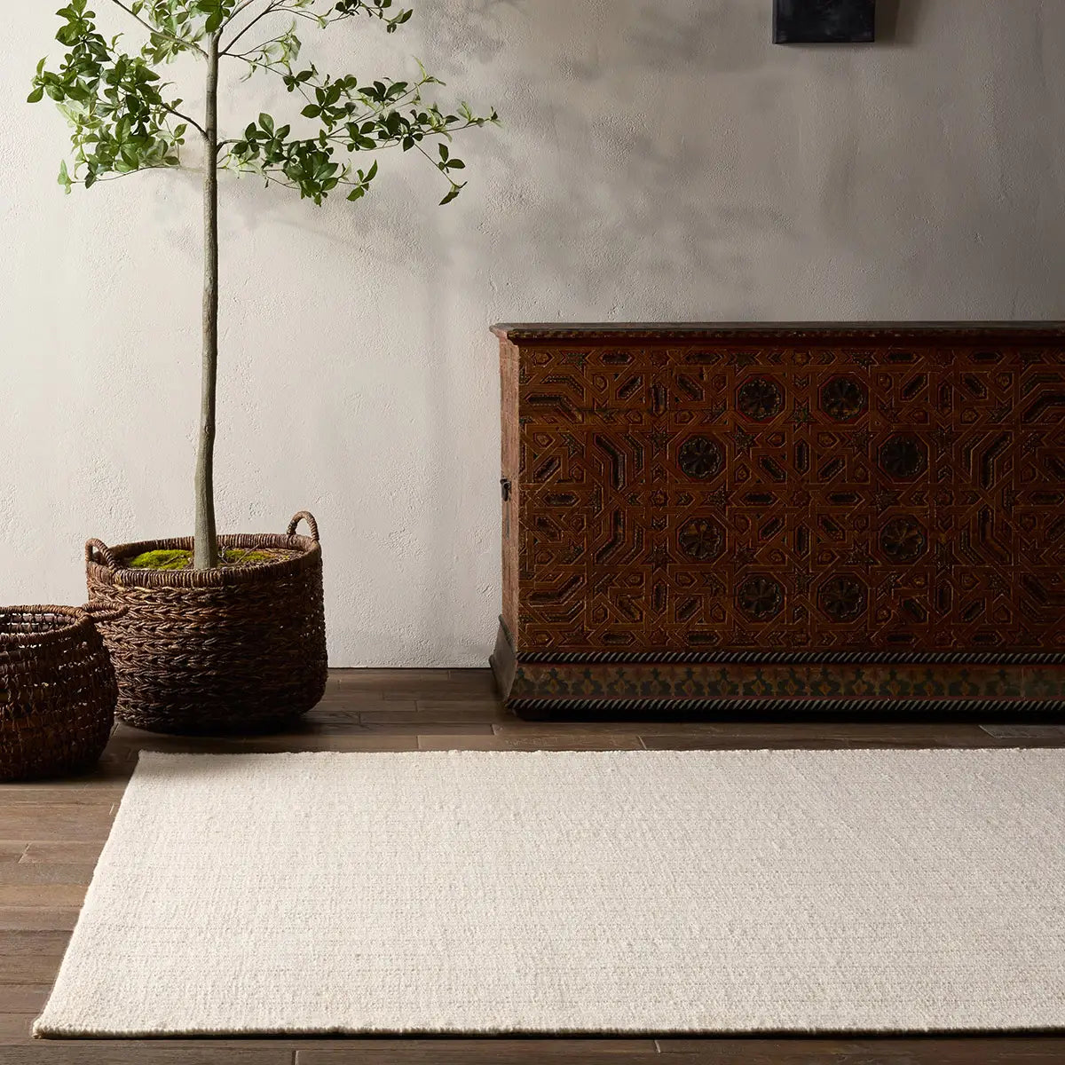 Jaipur The Jetson Rugs