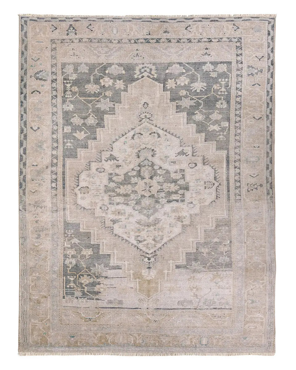 Jaipur The  Pasain Rugs