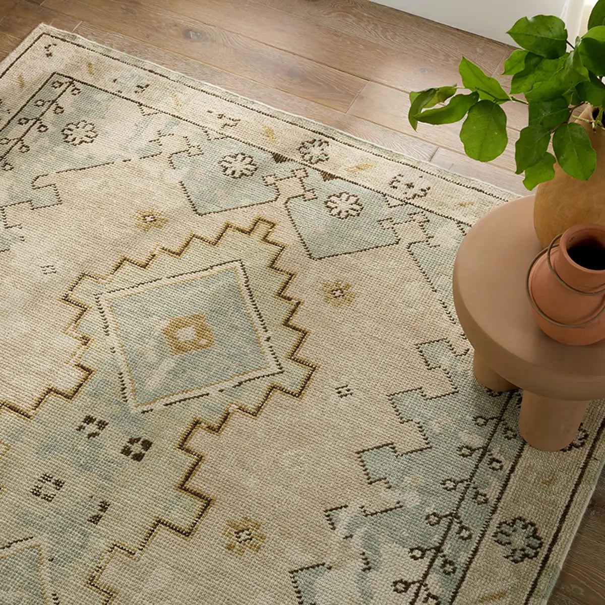 Jaipur The Pathos Rugs