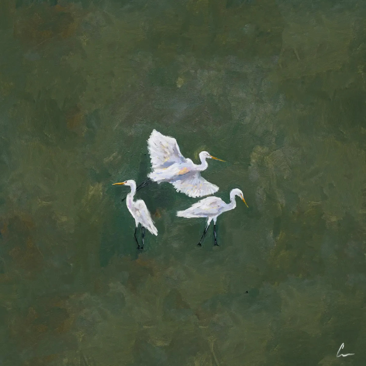 Jordan Connelly Egret Trio Print Artwork EgretTrio24x24Paper