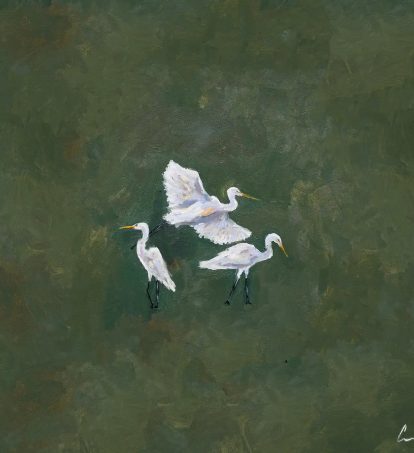 Egret Trio Print