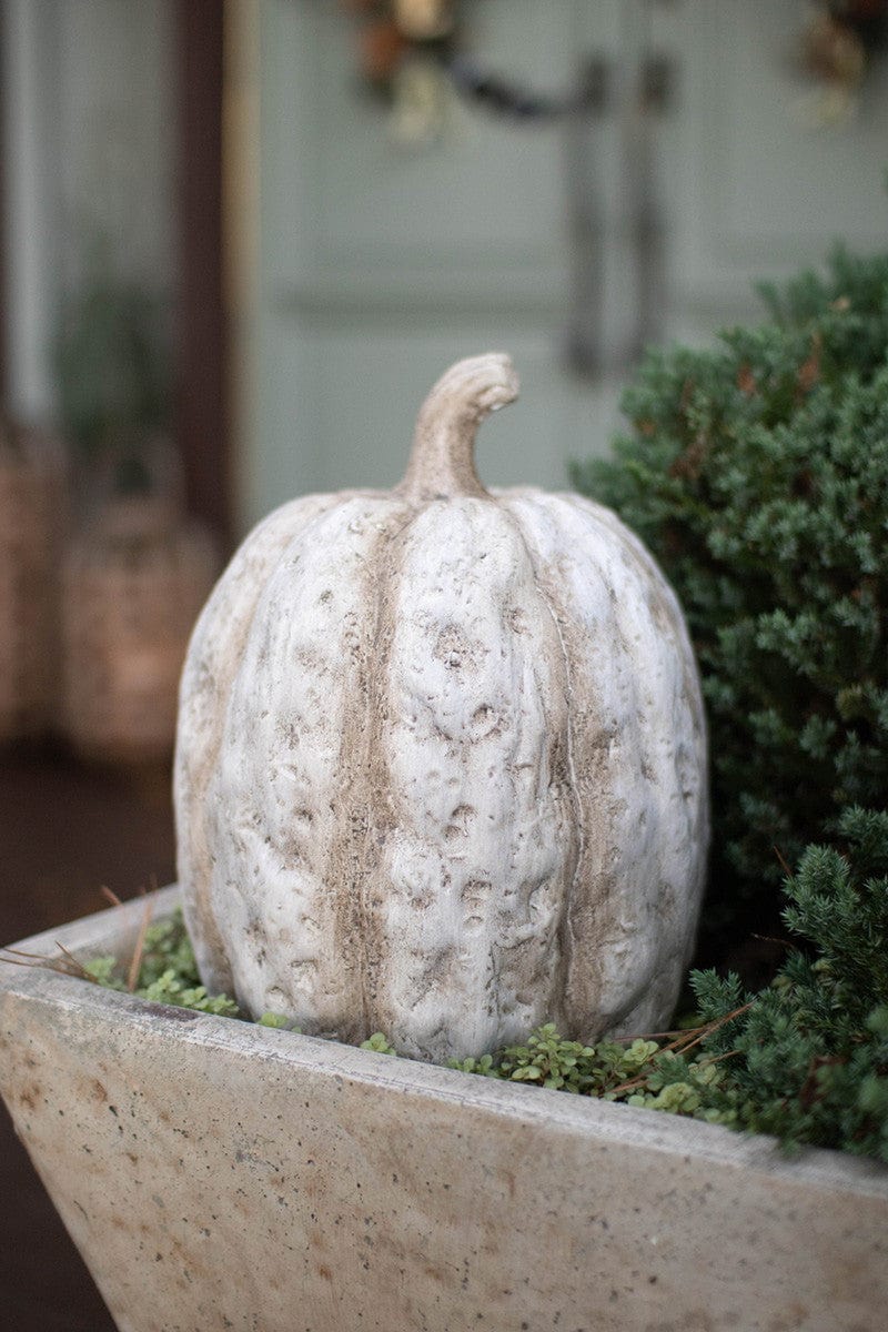 Kalalou Faux Concrete Pumpkin Seasonal