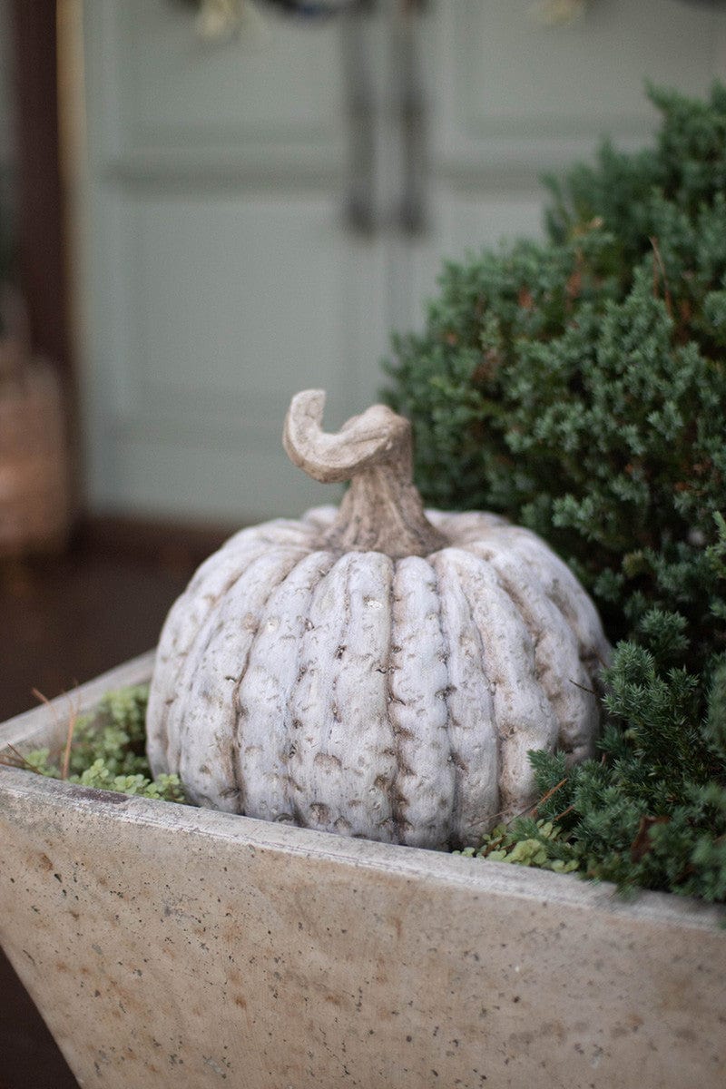 Kalalou Faux Concrete Pumpkin Seasonal