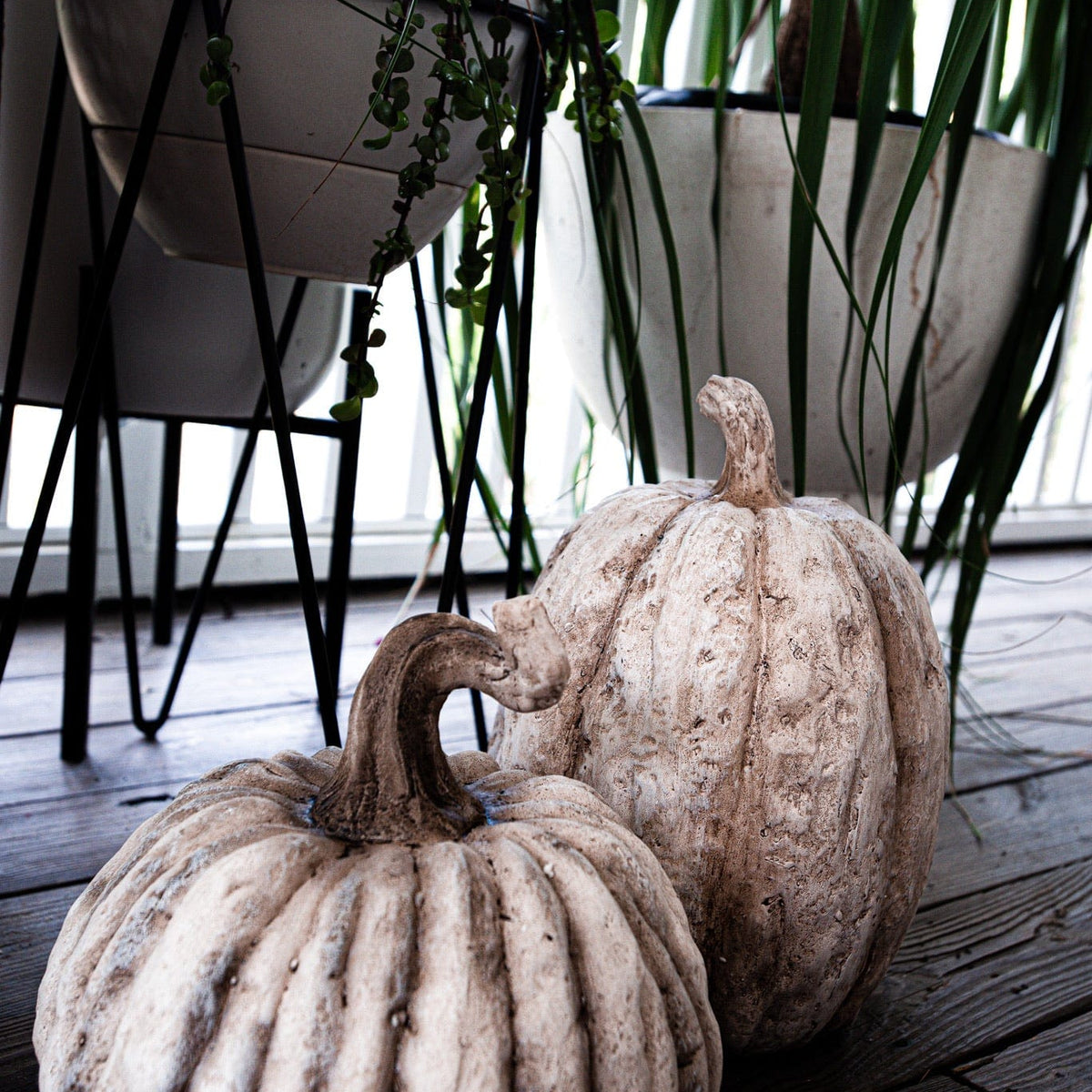 Kalalou Faux Concrete Pumpkin Seasonal