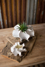 Kalalou Mini Ceramic Ruffle Planters Pots & Planters