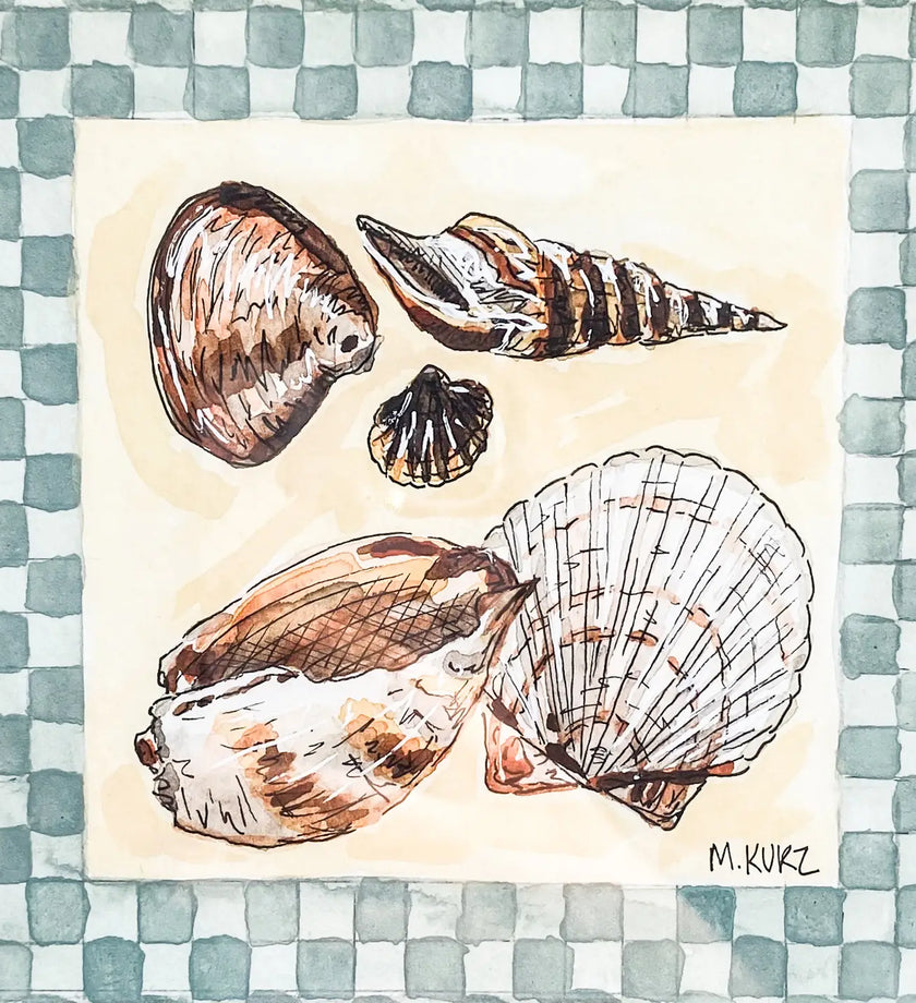 Shells #1 Print - secondary