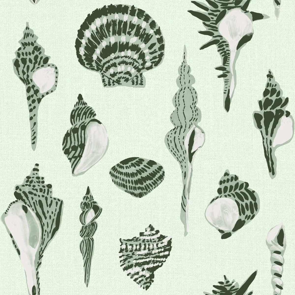 Mitchell Black Marsh Breeze Green / 10'H x 2'W / Premium Matte Paper Sullivan's Island Shells Roll Wallpaper