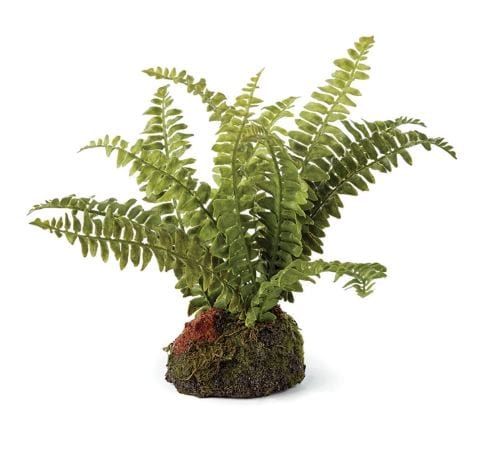 Napa Home Boston Fern Drop In DI3008