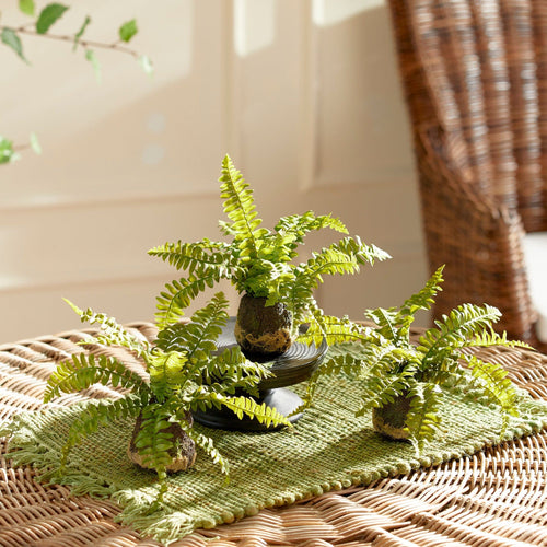 Napa Home BOSTON FERN DROP-INS, SET OF 3 Faux Plants N2CC08