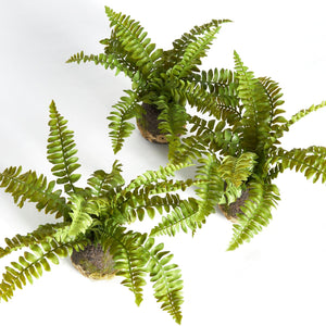 Napa Home BOSTON FERN DROP-INS, SET OF 3 Faux Plants N2CC08