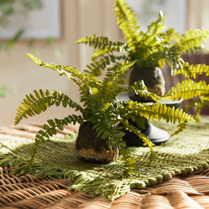 Napa Home BOSTON FERN DROP-INS, SET OF 3 Faux Plants N2CC08