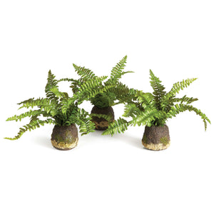 Napa Home BOSTON FERN DROP-INS, SET OF 3 Faux Plants N2CC08