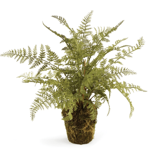 Napa Home Decorative Soft Fern 13