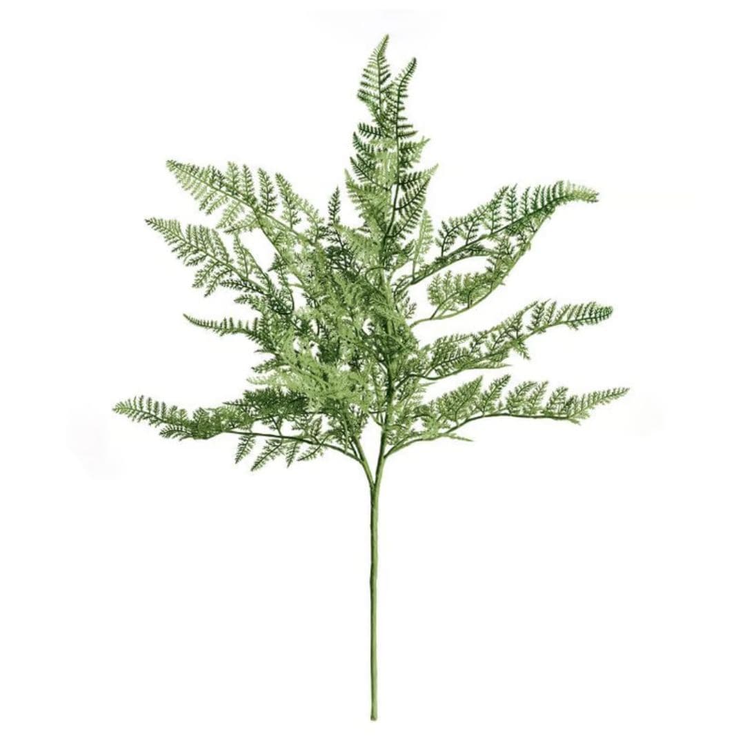 Napa Home Fern Bush Stem Fern N3CC28