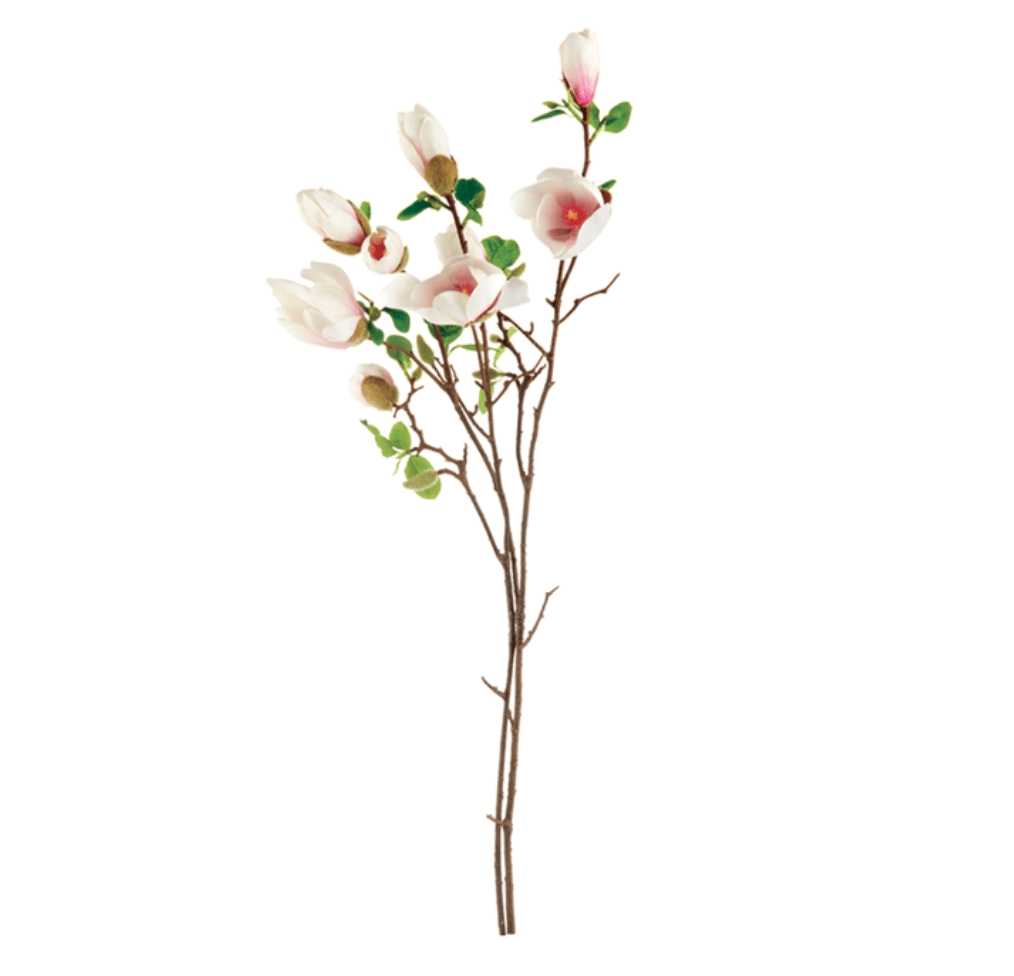 Napa Home Japanese Magnolia Faux Branches K154