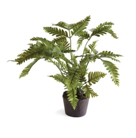 Napa Home Lady Fern Drop-In DI1219