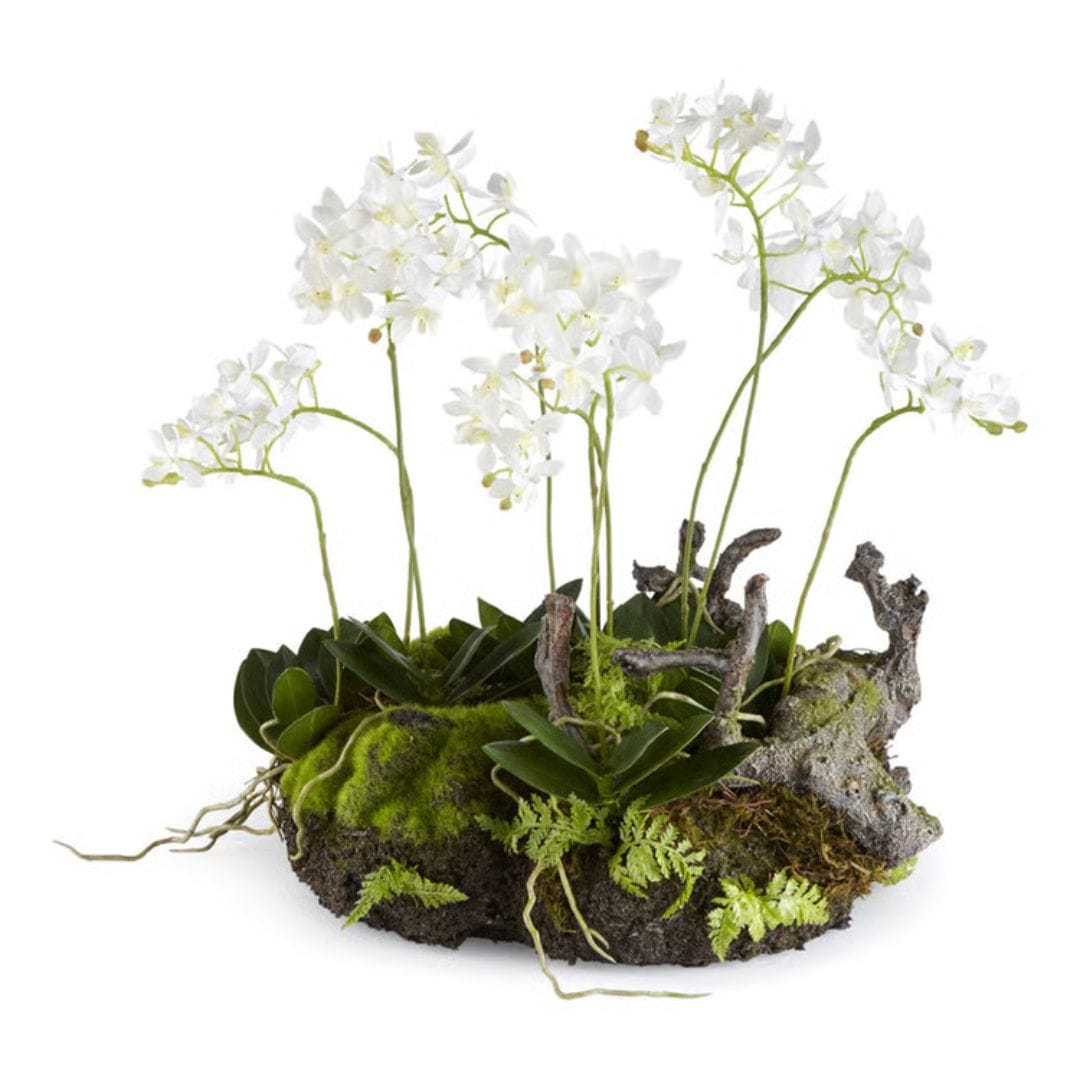 Napa Home Mini Dendrobium With Rustic Drop-in faux flower DI1209