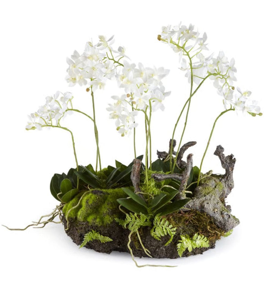 Mini Dendrobium With Rustic Drop-in