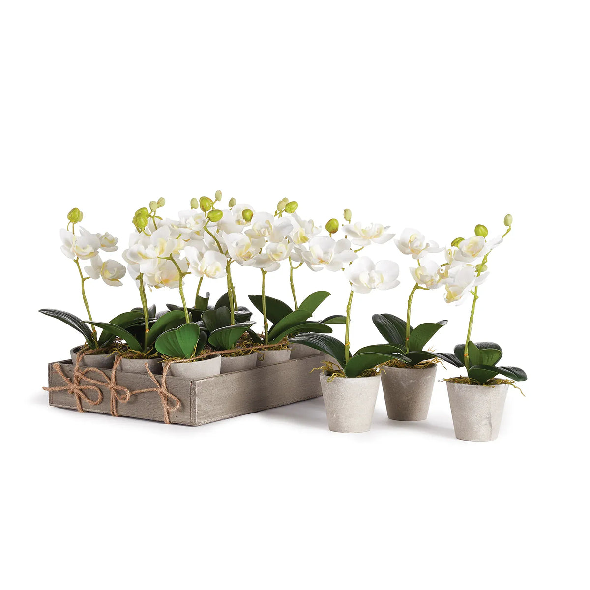 Napa Home Mini Orchid in Pot faux flower NGP508