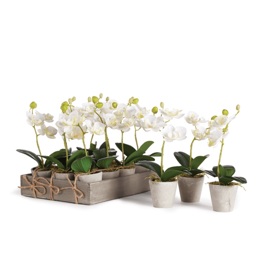 Napa Home Mini Orchid in Pot faux flower NGP508